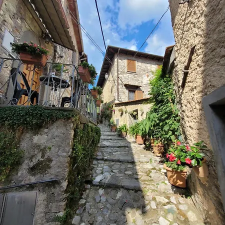 La Casetta Sul Collettino Apartmán Fabbriche di Vallico